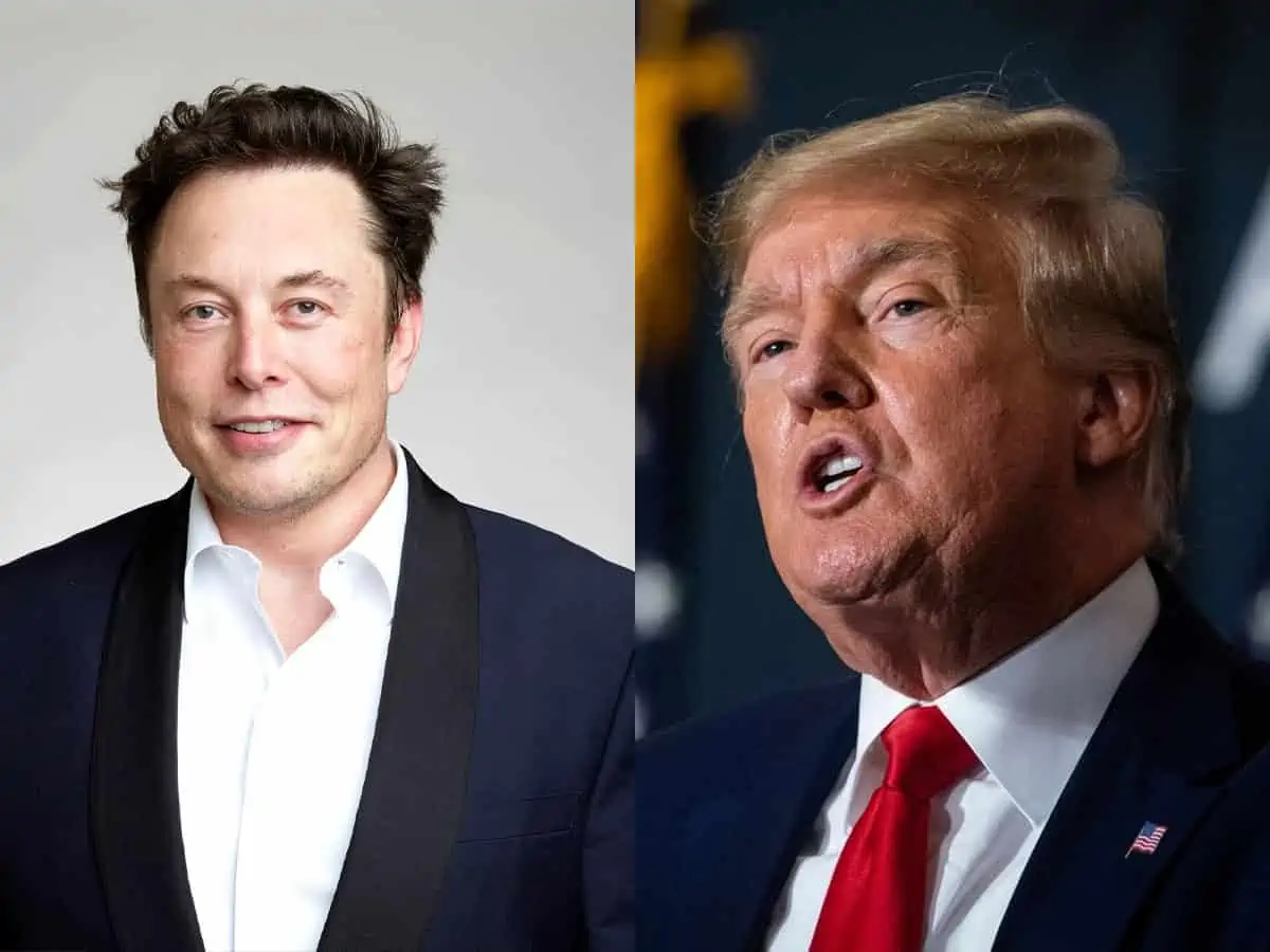 Elon Musk Donald Trump