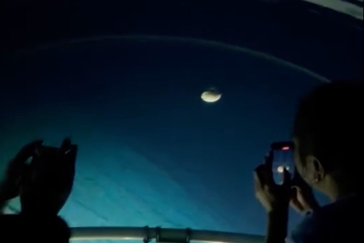 Submersible stumbles upon prehistoric animal 365m deep in Pacific darkness