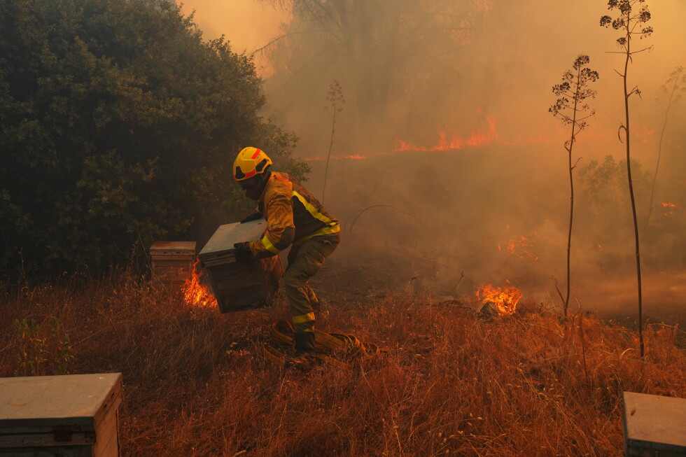 UN warns record strong El Nino will add fuel to a burning planet