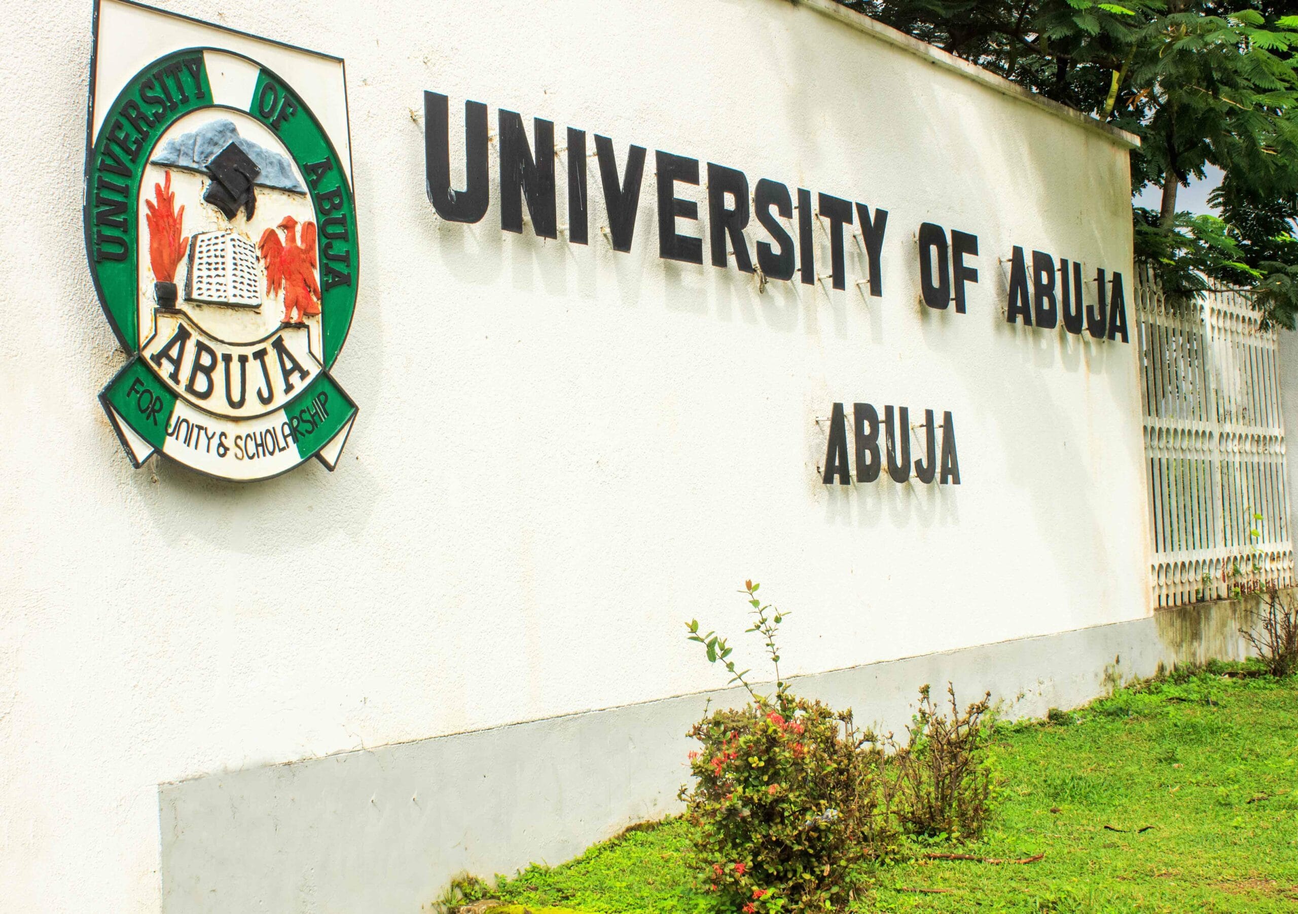 UniAbuja students turn to business amidst rising cost of living – Daily Trust