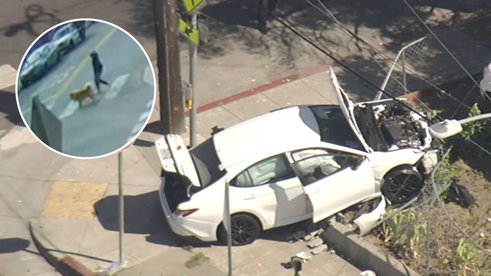 7, 4-year-old brothers take parents' car, critically injure woman walking dog in Oakland, California crash: Police