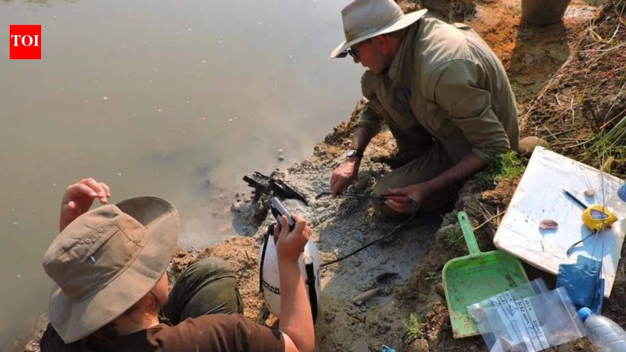 A strange wooden log found beneath Zambia’s Kalambo Falls was dismissed for decades, then archaeologists dated it to 476,000 years ago | World News