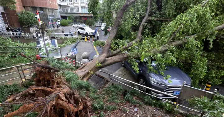 Air Canada flights resume following Typhoon Dolphin in southern China - National