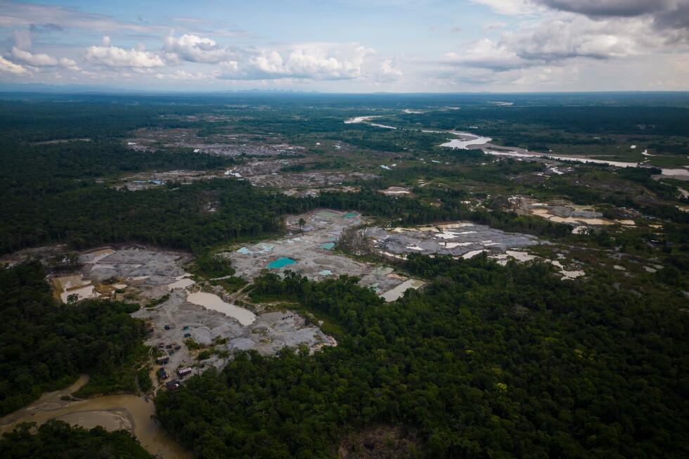 Amazon nations carry out major multinational crackdown on environmental crime