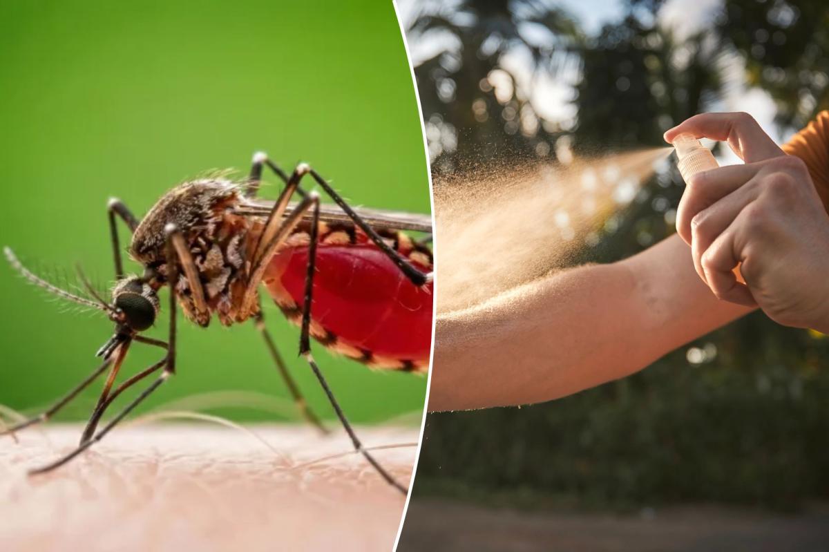 Brain-swelling disease carried by mosquitos is surging — with highest numbers so far in 22 years