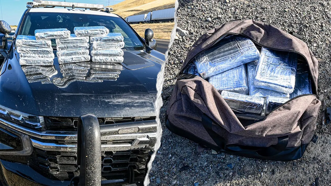 California drug bust seizes over $800K in cocaine at traffic stop