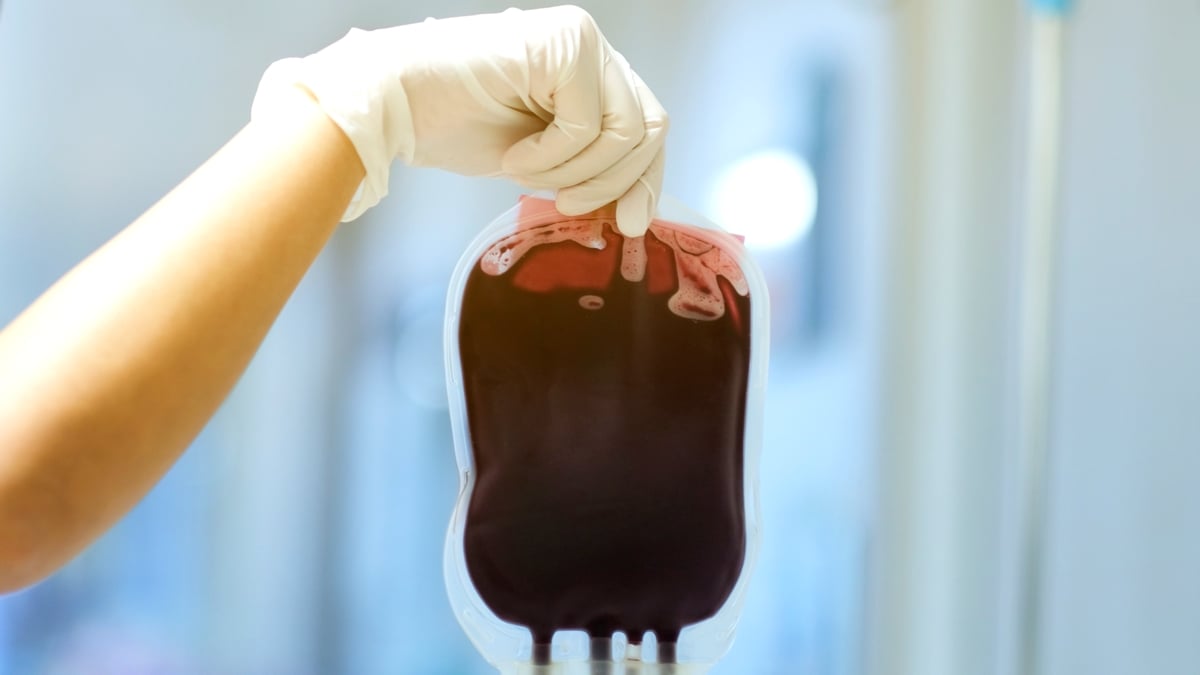 Can Alzheimer's Spread Through Blood Transfusions? Here's What We Know. : ScienceAlert