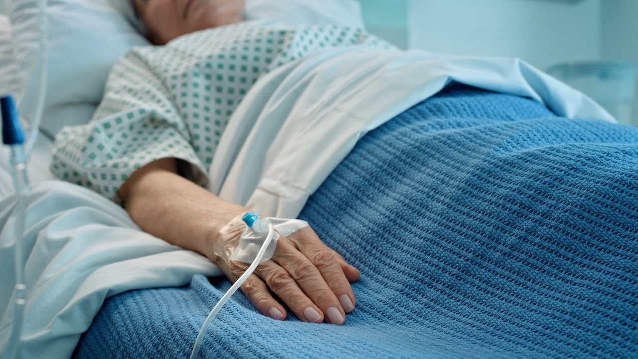 Candida auris cases top 3,437 across 27 US states, CDC data shows