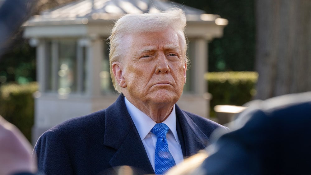 Dow Jones Futures: Trump Comments Spark Stock Market Losses; Elon Musk-Led SpaceX Rallies