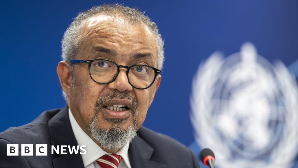 Ebola outbreak on track to be deadliest ever, WHO chief says - BBC