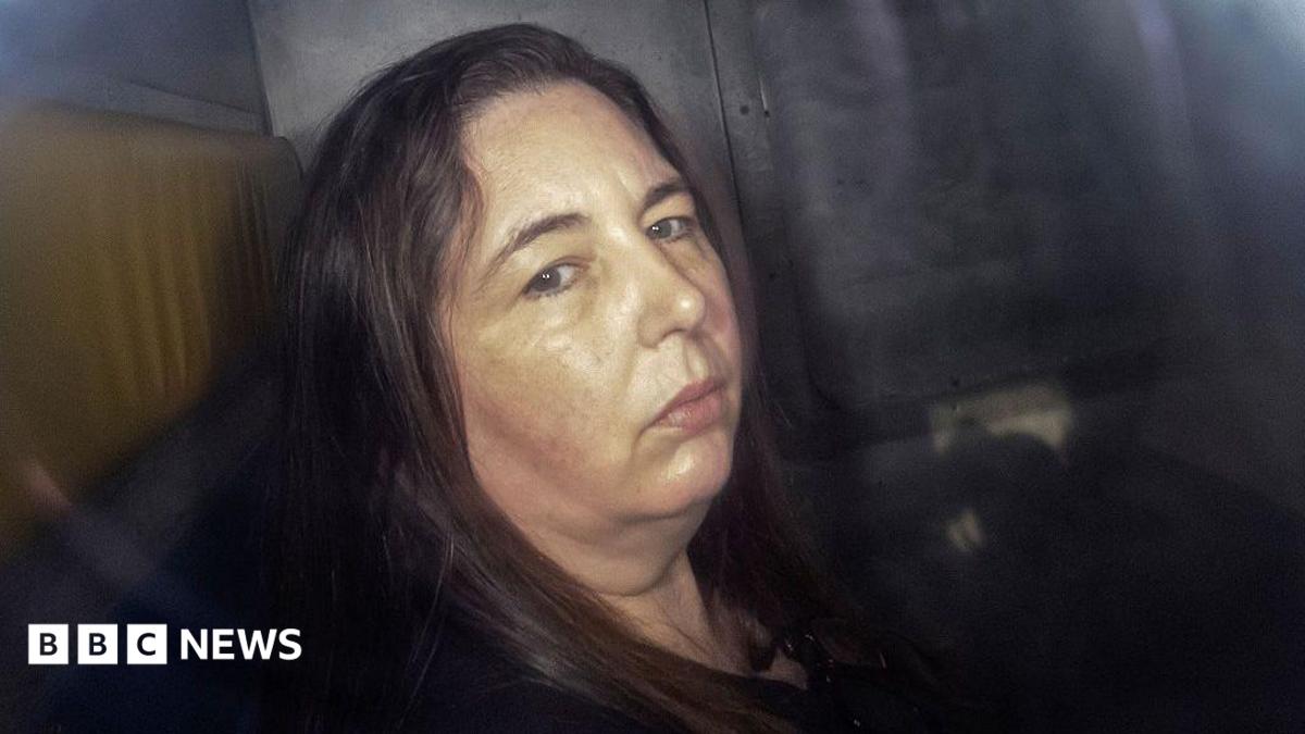 Erin Patterson: 'Catastrophic' hotel blunder caused unfair trial, mushroom murderer's lawyers tell court
