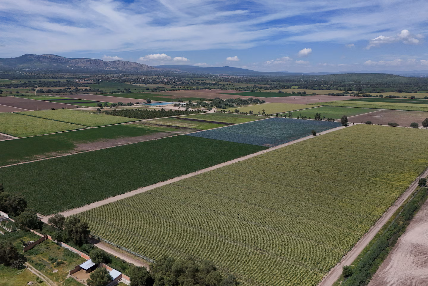 FDA in Mexico a month after linking Taylor Farms to cyclospora outbreak