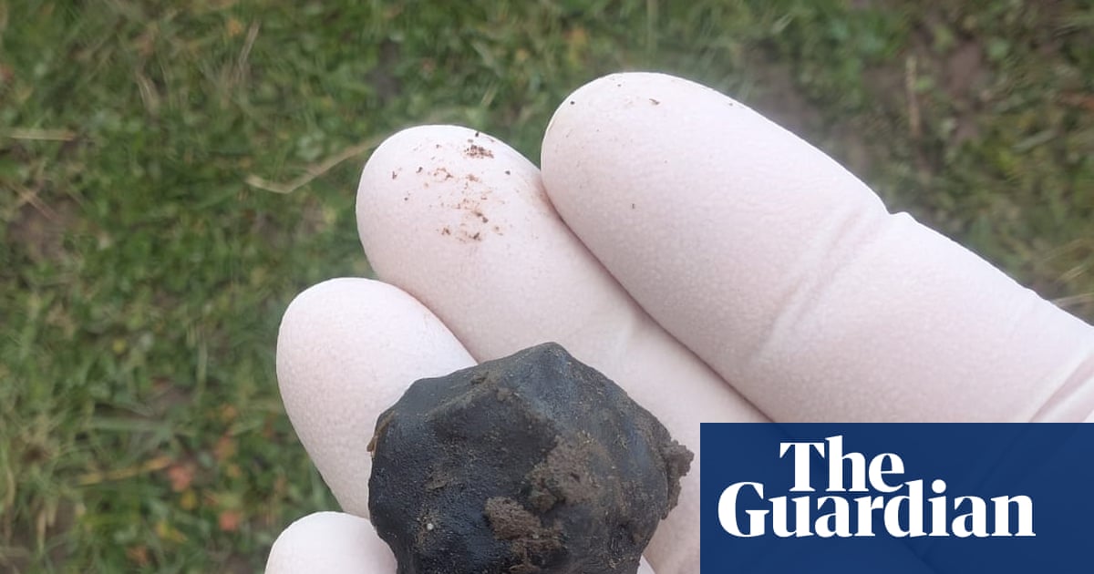 Flight paths and fridge magnets: how a fireball hunter tracked down New Zealand’s newest meteorite | New Zealand