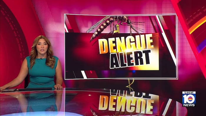 Health officials urge mosquito precautions after dengue case confirmed in Miami-Dade County