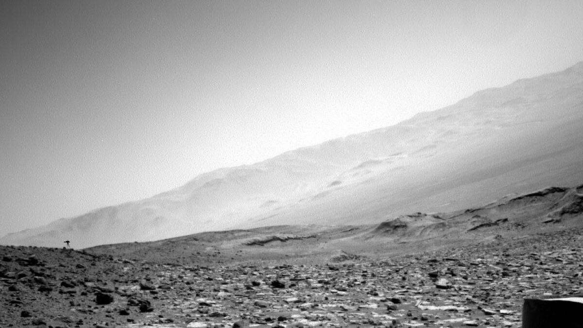 “Jellyfish” Spotted In NASA Mars Photo Sparks Frenzy As People Dig For Explanation