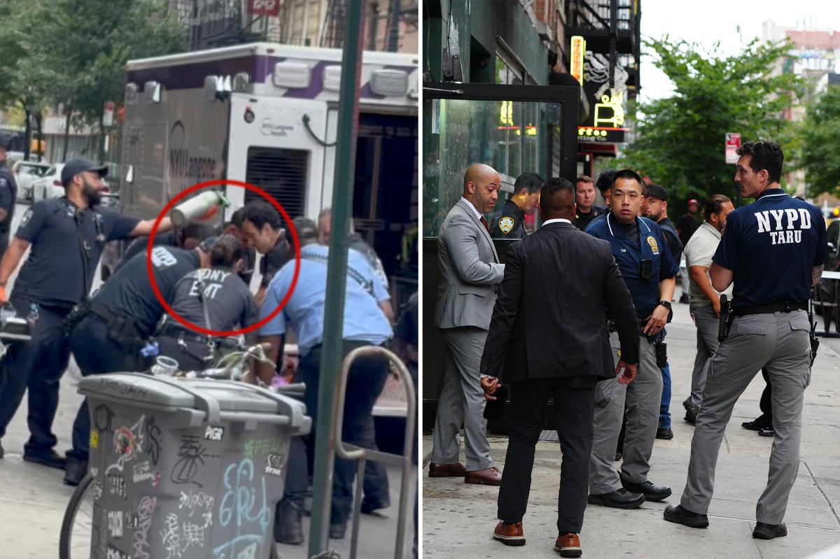 Knife-wielding NYC maniac shot, killed by cops after slashing father in head
