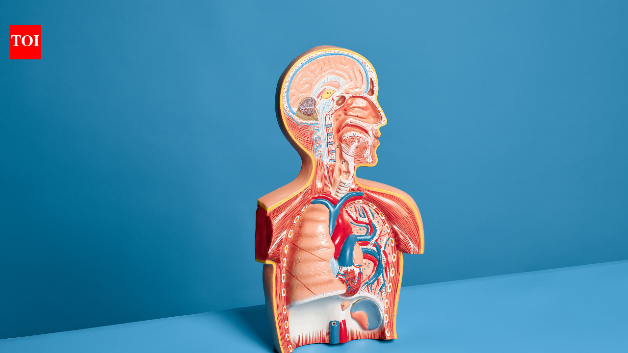 Lung cancer is not only about smoking: Doctor explains the risks hiding in your air, home and daily routine