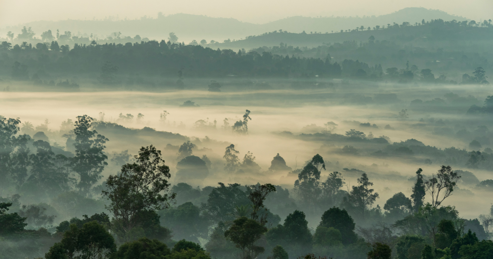 One night in 1986, a peaceful lake in Cameroon released an invisible cloud of carbon dioxide that swept through nearby villages — killing people and animals in their sleep and revealing one of the rarest natural disasters on Earth.