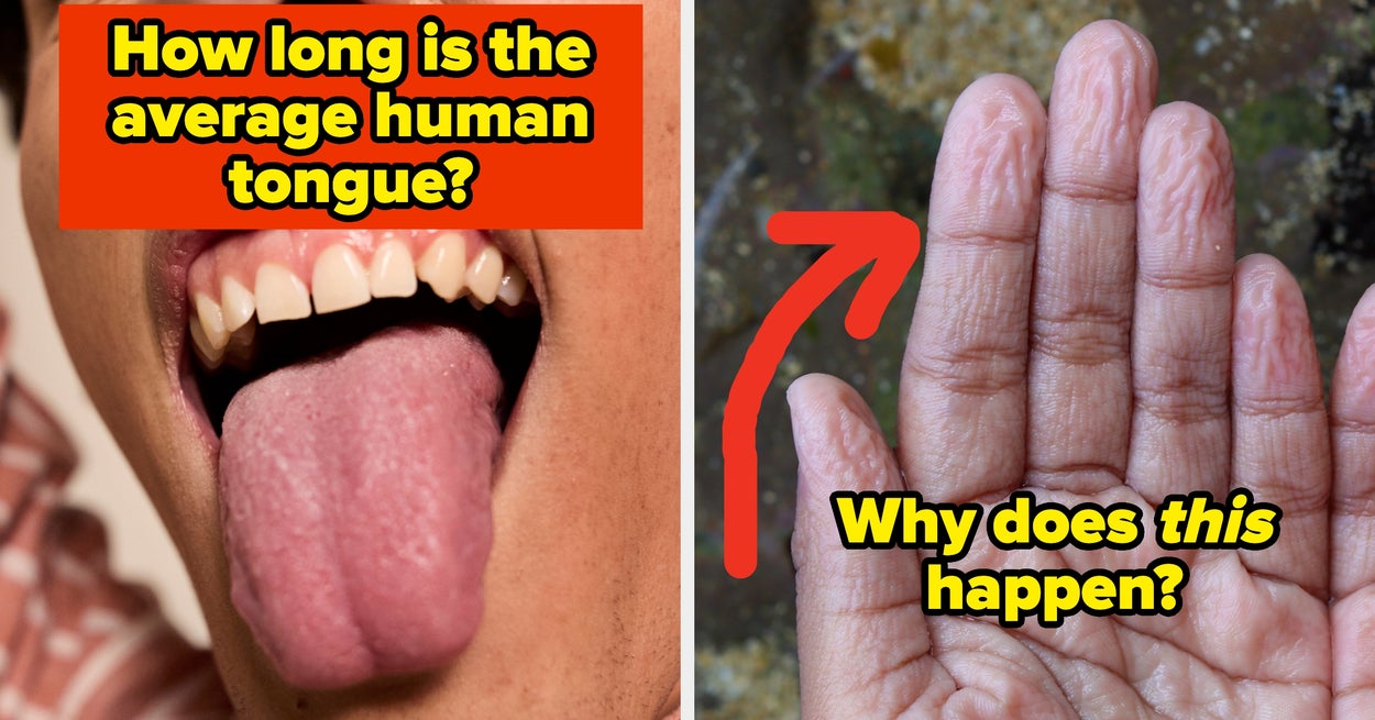 Only 1% Of People Know These Strange Human Body Facts — Let’s See How You Do - BuzzFeed