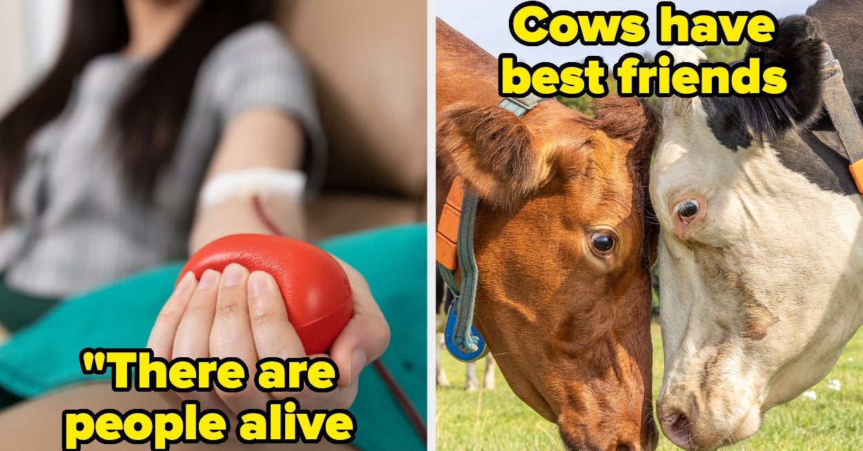 People Are Sharing Beautiful, Day-Brightening Facts That Sound Totally Made Up, But Are Actually 100% True - BuzzFeed