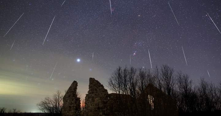 Perseid meteor shower and partial solar eclipse to light up skies next week - National