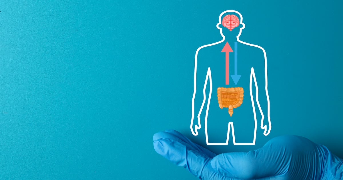 Probiotic may boost mood and emotional health for older adults