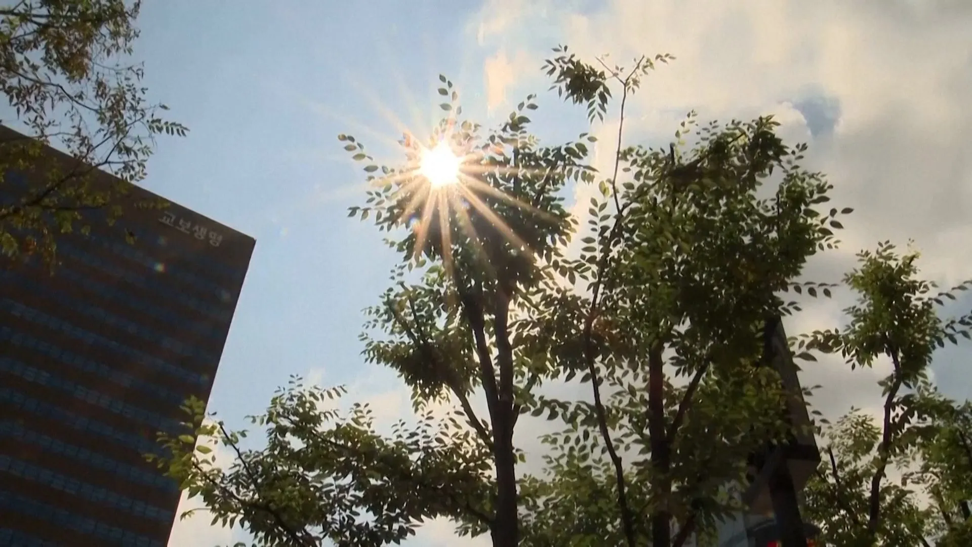 Record-high heat soars through South Korea | Environment