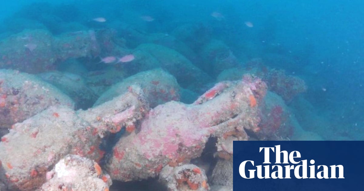 Roman shipwreck with 500 amphorae found off coast of Sicily | Archaeology