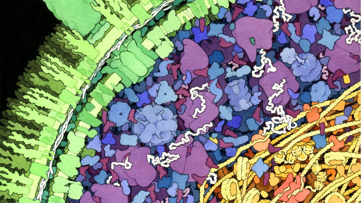 Scientists Discover a Bizarre New Way Life Can Make DNA... Without DNA : ScienceAlert