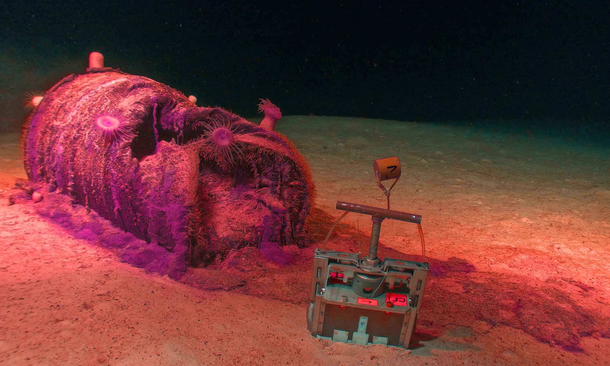 Scientists found over 200,000 barrels of leaking radioactive waste