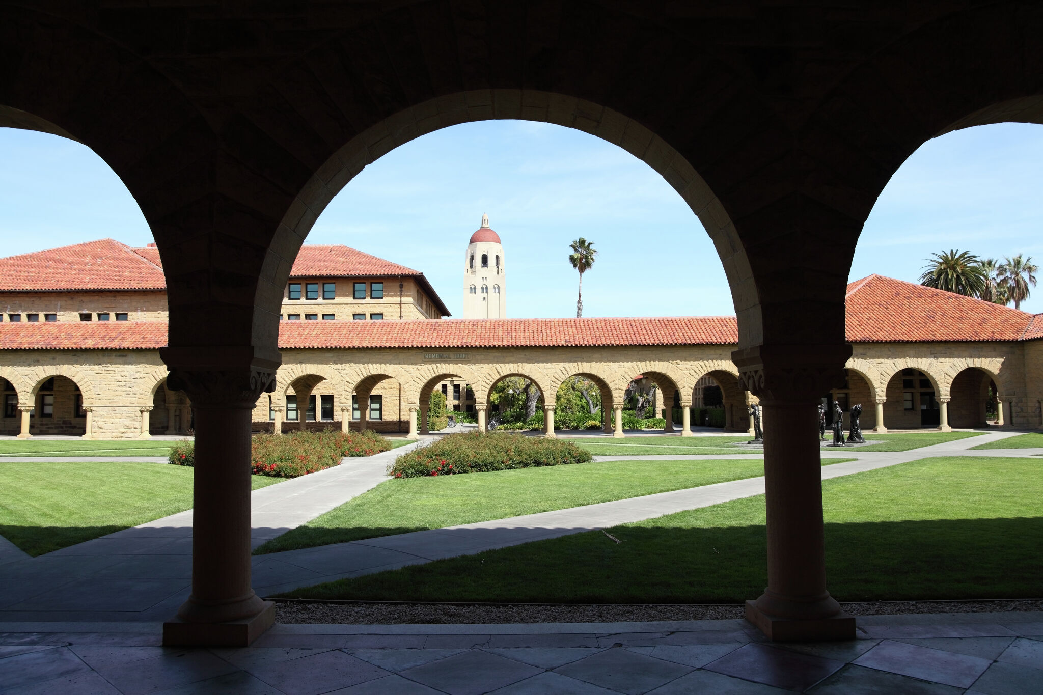 Stanford scientists discover cells that could hopefully destroy tumors