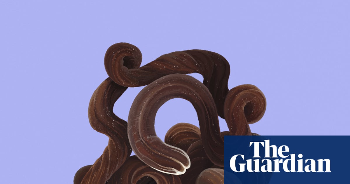 Stuff of nightmares? Meet the bootlace worm – super-long, super-elastic, and it fires toxic slime | Marine life