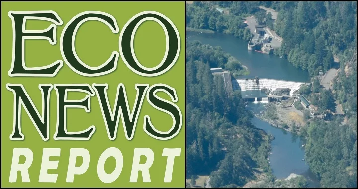 THE ECONEWS REPORT: Trump's Plans to Disrupt Dam Removal Get FERC'd | Lost Coast Outpost