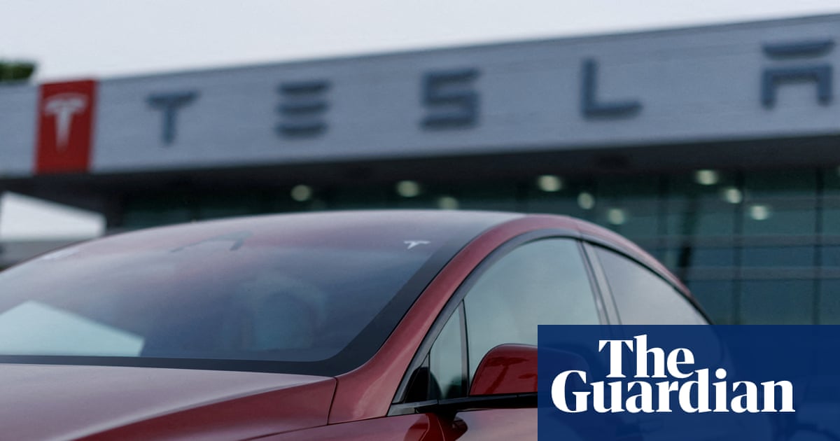 Tesla recalls nearly 3m vehicles in China over door handle safety risks | Tesla