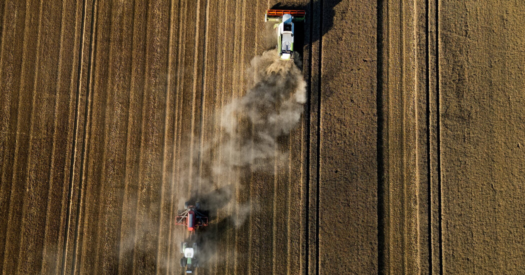 The Price of Bread - The New York Times