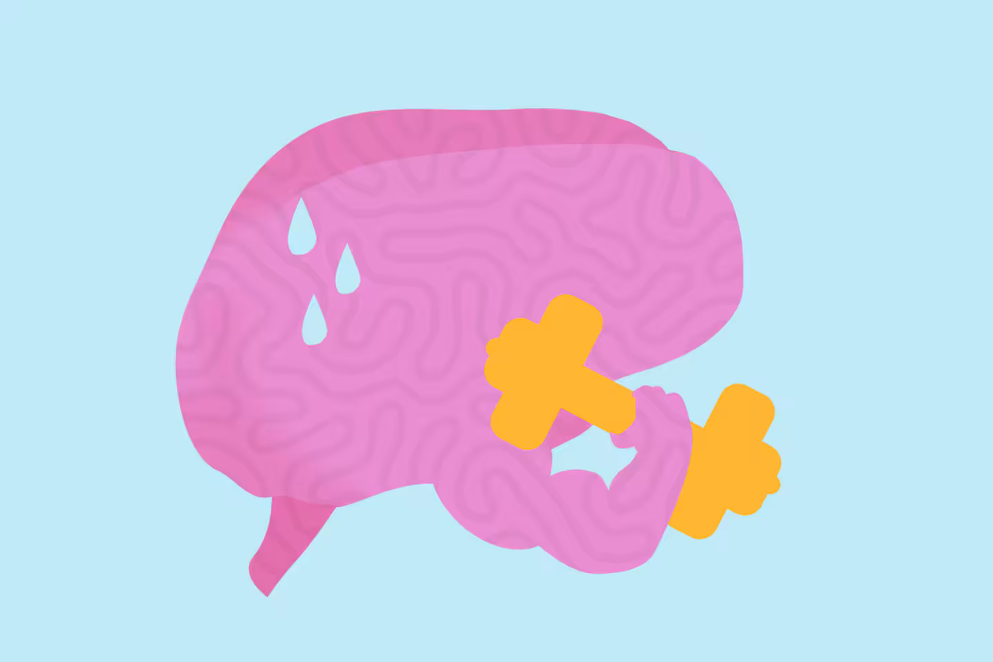 The new science of brain workouts, beyond Sudoku and crosswords