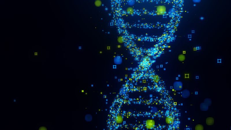 Two mysterious ‘ghost’ lineages discovered in modern human DNA