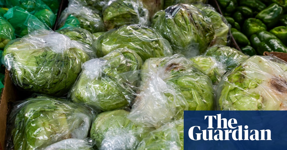 US law to investigate foodborne illness outbreaks has been delayed for 15 years | US news