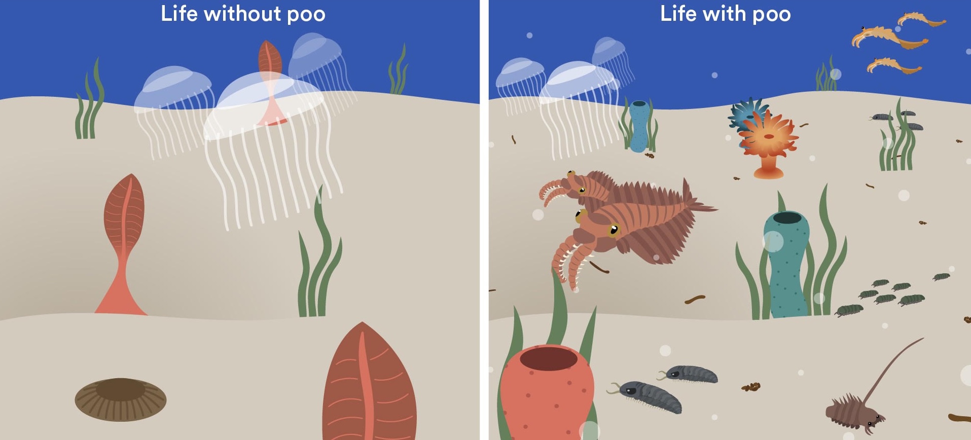 We Wouldn't Be Here Without Poop