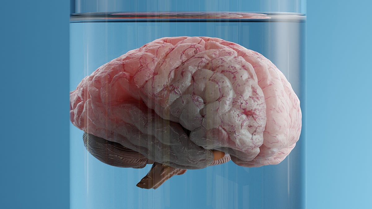 What if The Brain Doesn't Create Consciousness? Scientist Proposes It Might Be The Fabric of Reality Itself : ScienceAlert