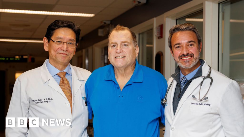 Pig kidney works in human body for 271 days - is this the future of organ transplants? - bbc.com
