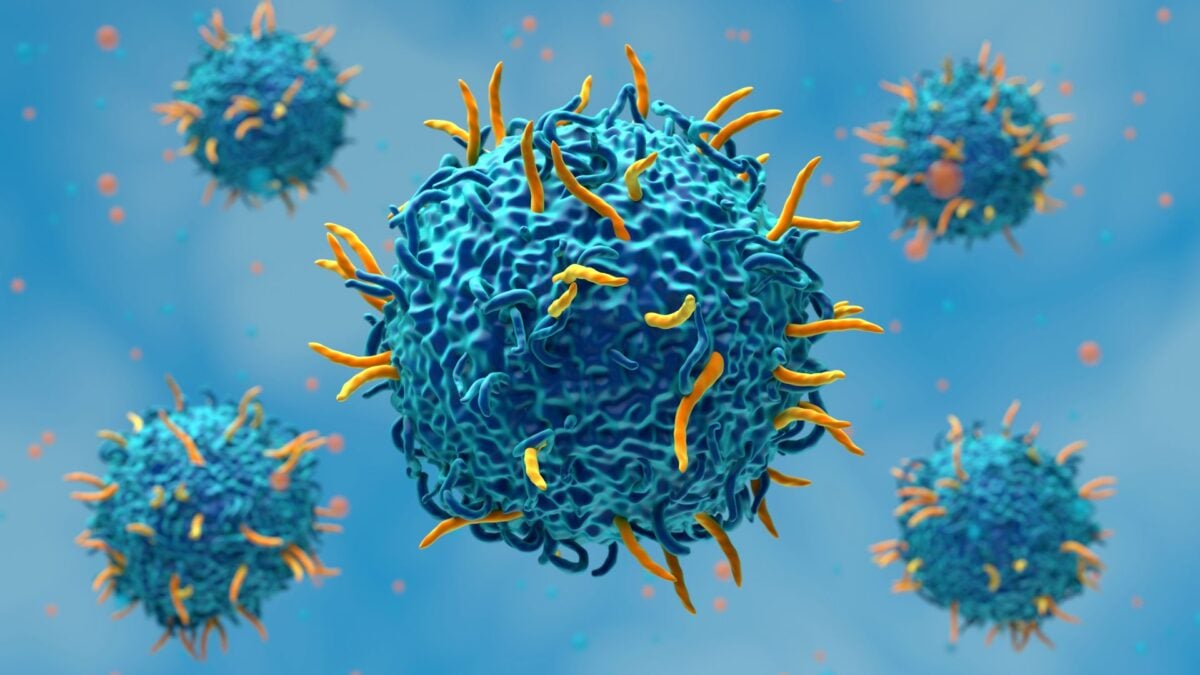 3-Year-Old Boy's Cancer Disappears After He Gets Experimental Immunotherapy