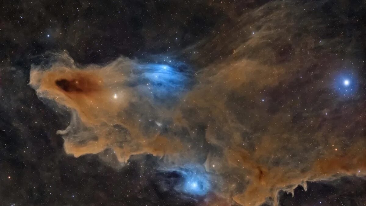 A Deep-Space Shark Is Prowling the Cosmos—and the Photo Just Won a Major Award