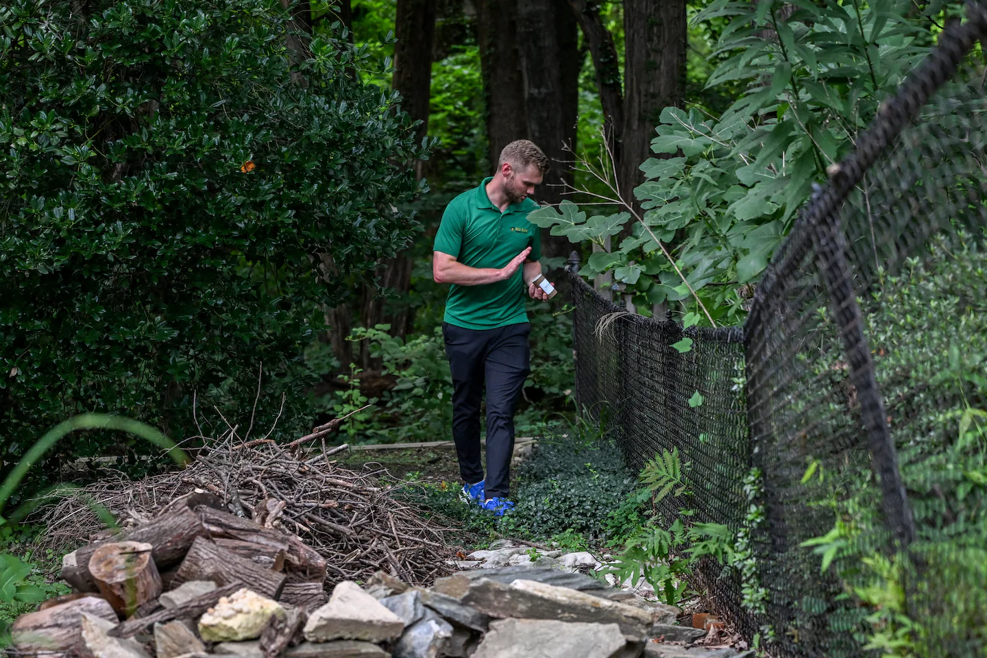 A novel form of mosquito birth control comes to the D.C. area