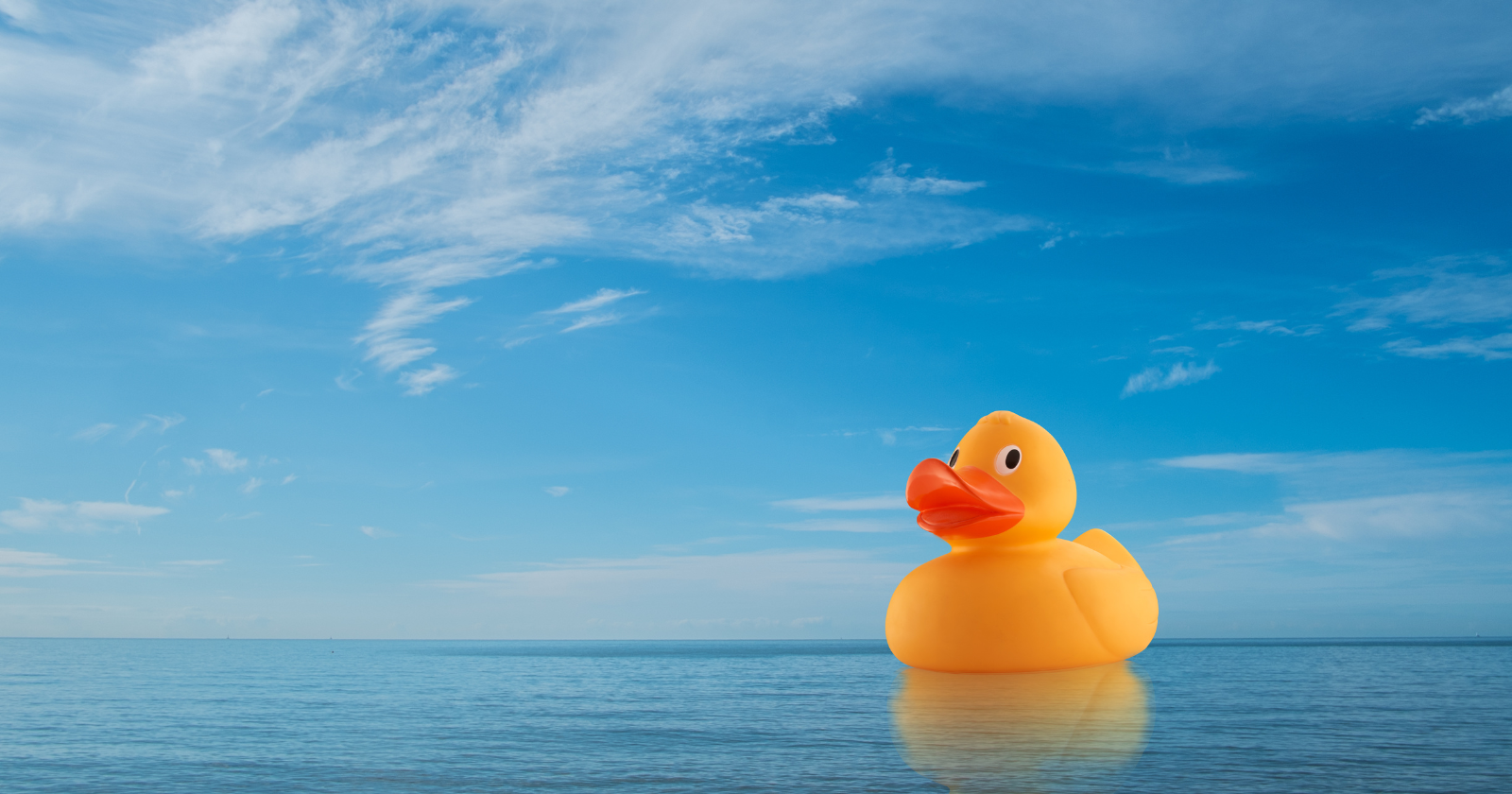A shipping container falling off a cargo ship in 1992 spilled 28,000 rubber ducks and other bath toys into the Pacific, and oceanographers spent the next 20 years tracking where they washed ashore to map the world's ocean currents.