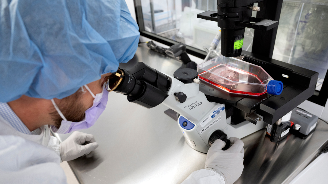 AI in healthcare advances melanoma treatment and drug repurposing
