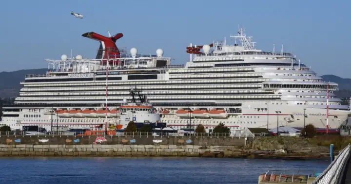 Carnival Cruise passenger jumps overboard from ship heading to California - National