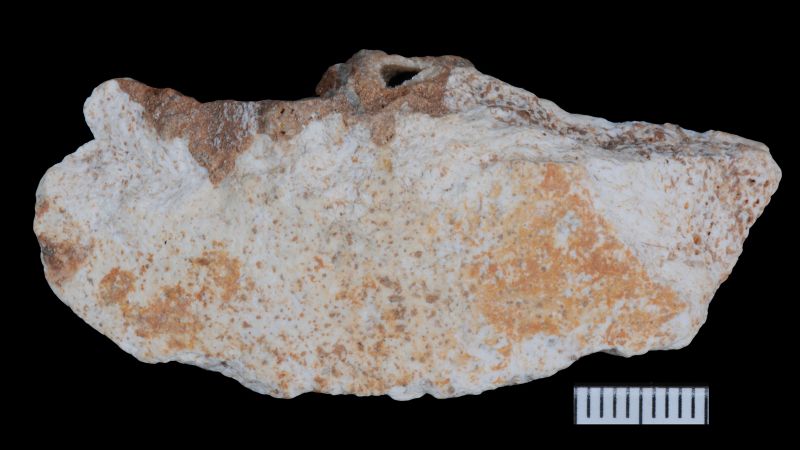 Cave fossils found in China offer glimpse at how Denisovans lived