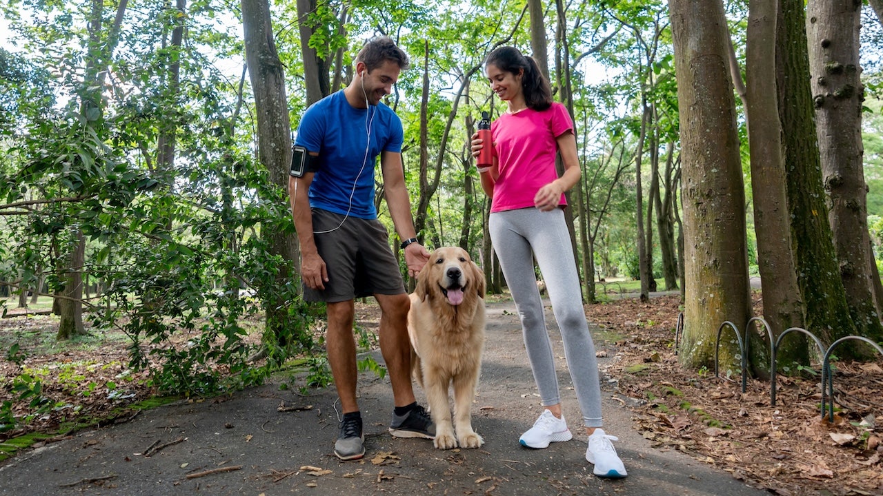 Everyday companion could help you live longer and cut risk of early death