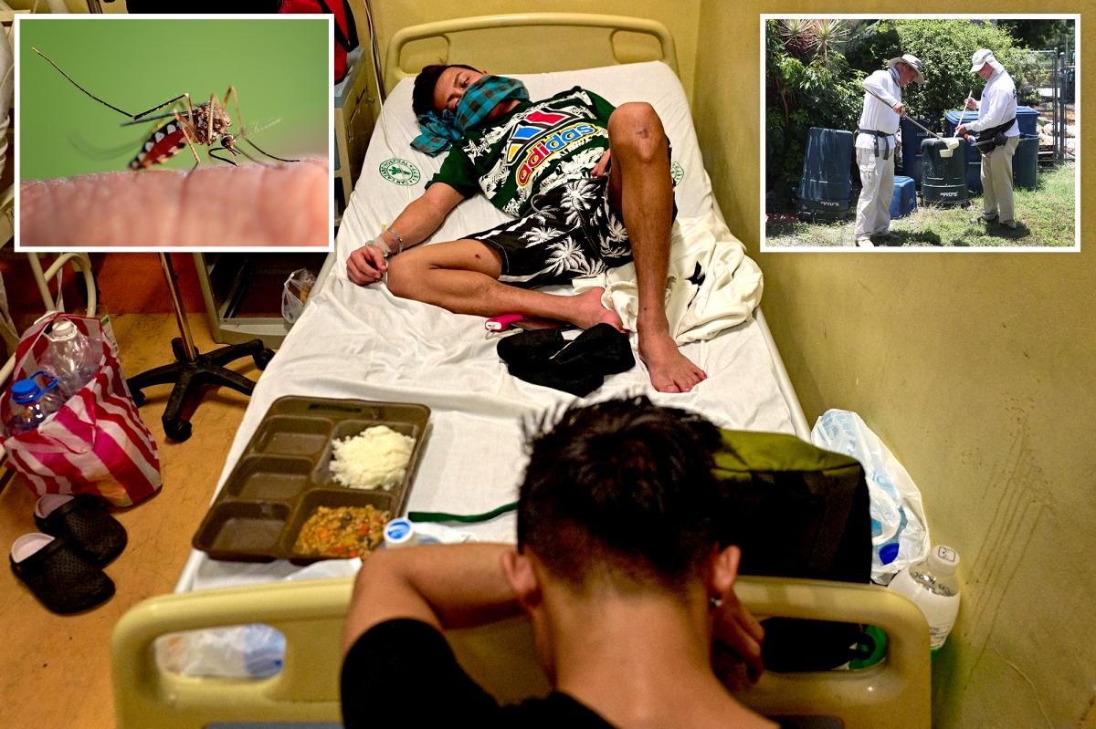 Florida officials warn of disease outbreak, declare state of emergency